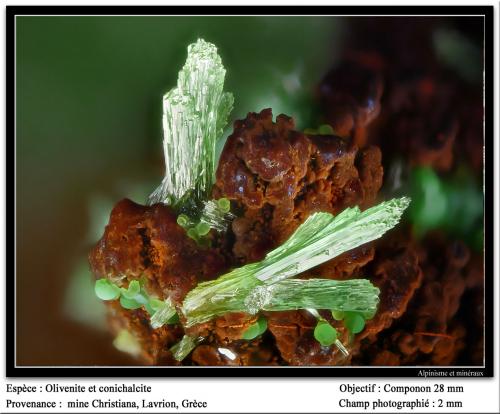 Olivenite and conichalcite<br />Mina Christiana, Minas Kamariza, Agios Konstantinos, Distrito minero Lavrion, Prefectura Attikí (Attica), Grecia<br />fov 2 mm<br /> (Author: ploum)