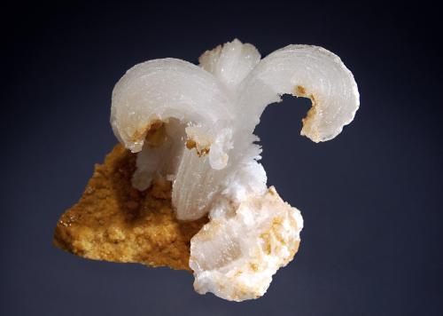 Gypsum<br />Bou Bekker, Touissit District, Jerada Province, Oriental Region, Morocco<br />5.3 x 5.4 x 6.9 cm.<br /> (Author: crosstimber)