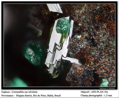 Cornwallite and olivenite<br />Ibiajara District, Rio do Pires, Bahia, Northeast Region, Brazil<br />fov 1.5 mm<br /> (Author: ploum)