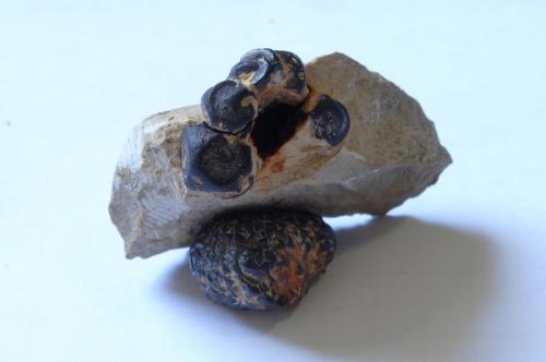 Goethita pseudomórfica de Pirita<br />Sant Julià de Ramis, Comarca Gironès, Gerona / Girona, Catalonia / Catalunya, Spain<br />Medidas pieza: 3,7x2,6x1,4 cm<br /> (Autor: Sergio Pequeño)