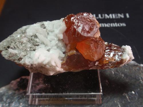 Esfalerita<br />Mina de Áliva (Mina Las Mánforas), zona Minera Áliva, Camaleño, Comarca Liébana, Cantabria, España<br />65x30 mm<br /> (Autor: Ignacio)