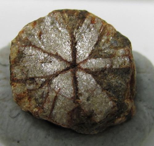 Cordierita (variedad Cerasita de Kikuchi)<br />Mina Yanahara, Misaki-cho, Prefectura Okayama, Región Chugoku, Isla Honshu, Japón<br />8 x 8 mm.<br /> (Autor: prcantos)