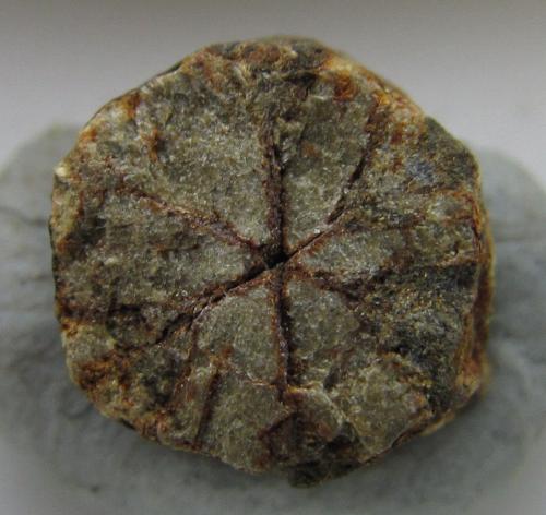 Cordierita (variedad Cerasita de Kikuchi)<br />Mina Yanahara, Misaki-cho, Prefectura Okayama, Región Chugoku, Isla Honshu, Japón<br />8 x 8 mm.<br /> (Autor: prcantos)