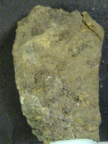 Gratonita<br />Minas de Río Tinto, Minas de Riotinto, Comarca Cuenca Minera, Huelva, Andalucía, España<br />2,5 x 5 x 2 cm.<br /> (Autor: Felipe Abolafia)