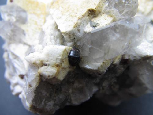 Almandino<br />Pegmatites outcrop, Valdemanco, Comarca Sierra de Guadarrama, Community of Madrid, Spain<br />3''5 cm. ancho de campo<br /> (Autor: prcantos)