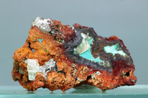 Auricalcita<br />Mina Ojuela, Mapimí, Municipio Mapimí, Durango, México<br />40x25 mm<br /> (Autor: Juan Espino)