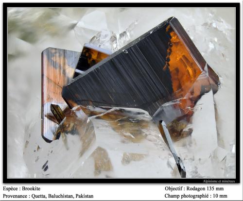 Brookite<br />Raywoo Mine, Quetta District, Balochistan (Baluchistan), Pakistan<br />fov 10 mm<br /> (Author: ploum)