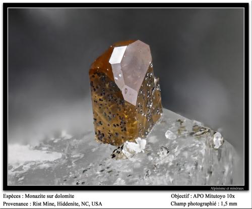 Monazite-(Ce)<br />Rist Mine, Hiddenite, Alexander County, North Carolina, USA<br />fov 1.5 mm<br /> (Author: ploum)
