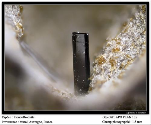 Pseudobrookite<br />Murol, Besse-et-Saint-Anastaise, Issoire District, Puy-de-Dôme Department, Auvergne-Rhône-Alpes, France<br />fov 1.5 mm<br /> (Author: ploum)