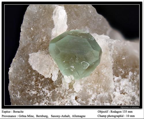 Boracite<br />Mina Gröna, Bernburg, Stassfurt, Sajonia/Sachsen, Alemania<br />fov<br /> (Author: ploum)