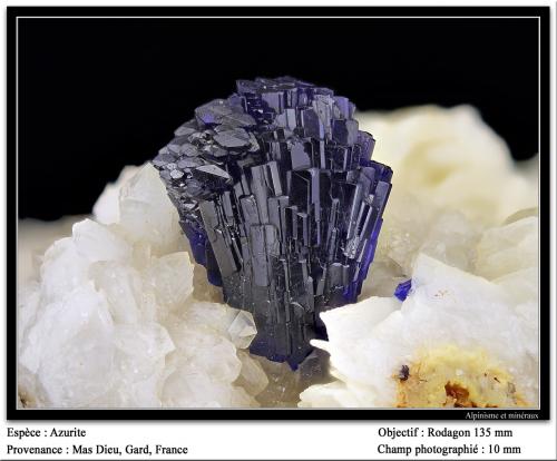 Azurite<br />Mas Dieu, Mercoirol, Alès, Gard, Occitanie, France<br />fov 10 mm<br /> (Author: ploum)