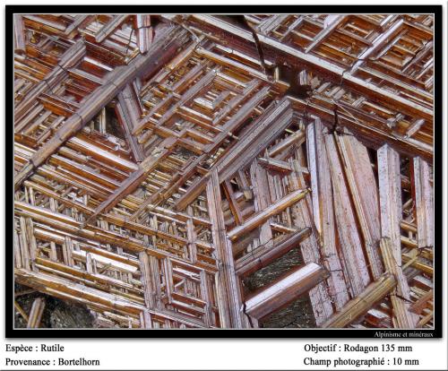 Rutile<br />Bortelhorn, Steinu Valley, Simplón pass area, Brig, Wallis (Valais), Switzerland<br />fov 10 mm<br /> (Author: ploum)