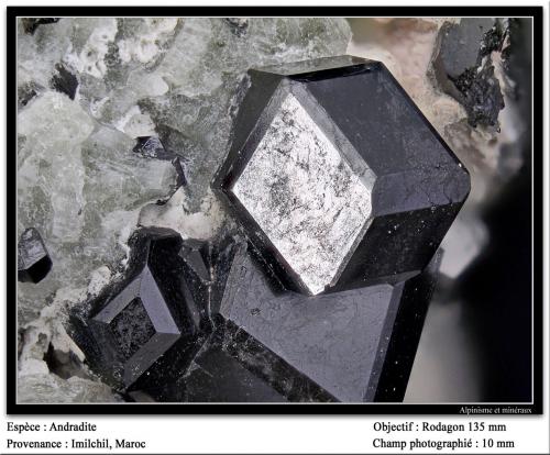 Andradite<br />Zona Imilchil, Anti-Atlas, Provincia Er Rachidia, Región Drâa-Tafilalet, Marruecos<br />fov 10 mm<br /> (Author: ploum)