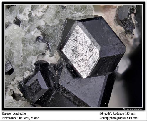 Andradite<br />Imilchil area, Anti-Atlas, Er Rachidia Province, Drâa-Tafilalet Region, Morocco<br />fov 10 mm<br /> (Author: ploum)