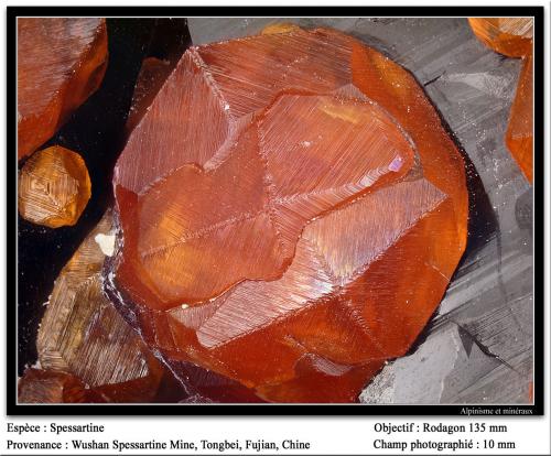 Spessartine<br />Catas Spessartina Wushan, Tongbei, Yunxiao, Prefectura Zhangzhou, Provincia Fujian, China<br />fov 11 mm<br /> (Author: ploum)