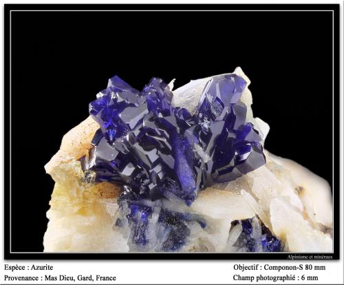 Azurite<br />Mas Dieu, Mercoirol, Alès, Gard, Occitanie, France<br />fov 6 mm<br /> (Author: ploum)