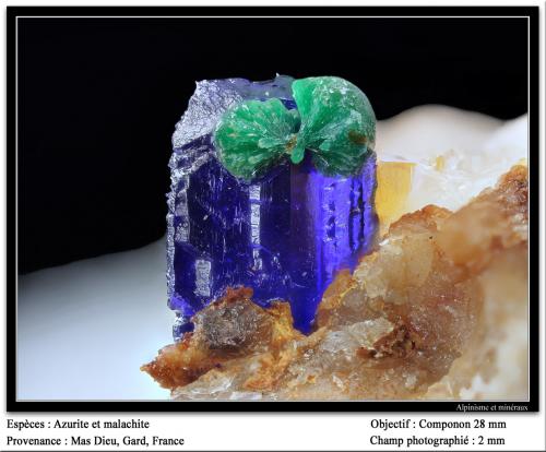 Azurite and malachite<br />Mas Dieu, Mercoirol, Alès, Gard, Occitanie, France<br />fov 2 mm<br /> (Author: ploum)