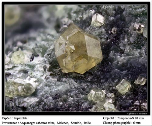 Andradite (var. topazolite)<br />Valmalenco, Provincia Sondrio, Lombardía, Italia<br />fov 6 mm<br /> (Author: ploum)