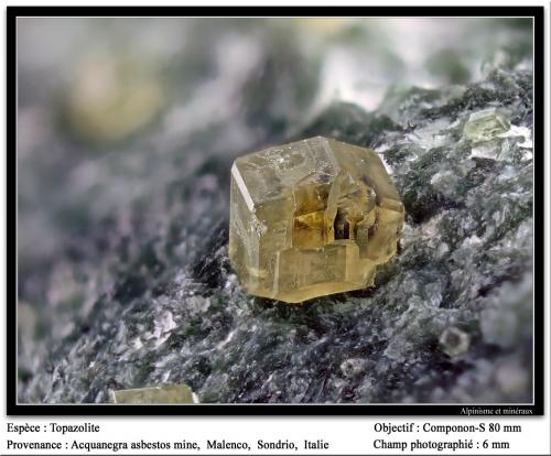 Andradite (var. topazolite)<br />Valmalenco, Provincia Sondrio, Lombardía, Italia<br />fov 6 mm<br /> (Author: ploum)