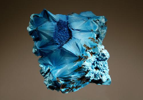 Shattuckite<br />Tantara Mine, Shinkolobwe, Katanga Copper Crescent, Katanga (Shaba), Democratic Republic of the Congo (Zaire)<br />5.7 x 6.1 cm<br /> (Author: crosstimber)