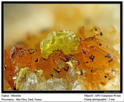 Mimetite<br />Mas Dieu, Mercoirol, Alès, Gard, Occitanie, France<br />fov 3 mm<br /> (Author: ploum)