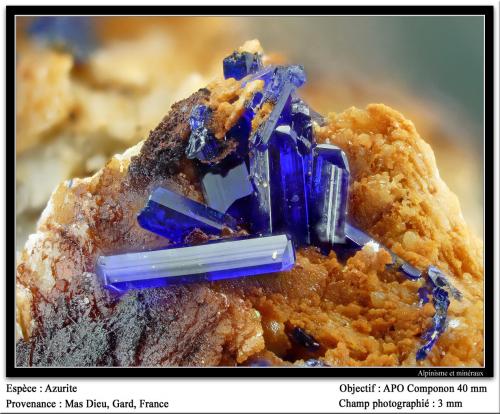 Azurite<br />Mas Dieu, Mercoirol, Alès, Gard, Occitanie, France<br />fov 3 mm<br /> (Author: ploum)