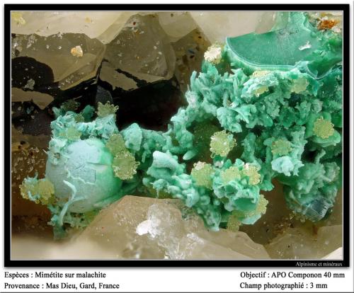 Mimetite on Malachite<br />Mas Dieu, Mercoirol, Alès, Gard, Occitanie, France<br />fov 3 mm<br /> (Author: ploum)