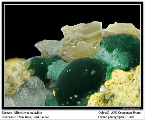 Mimetite and Malachite<br />Mas Dieu, Mercoirol, Alès, Gard, Occitanie, France<br />fov 3 mm<br /> (Author: ploum)