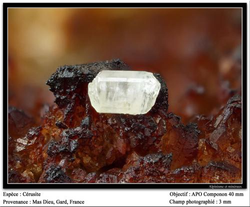 Cerussite<br />Mas Dieu, Mercoirol, Alès, Gard, Occitanie, France<br />fov 3 mm<br /> (Author: ploum)