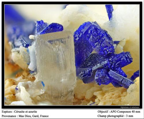 Cerussite and azurite<br />Mas Dieu, Mercoirol, Alès, Gard, Occitanie, France<br />fov 3 mm<br /> (Author: ploum)