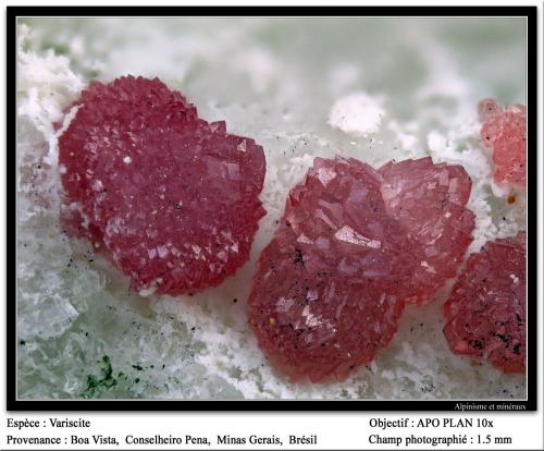 Variscite<br />Boa Vista (Eduardo) Mine, Conselheiro Pena, Vale do Rio Doce, Minas Gerais, Brazil<br />fov 1.5 mm<br /> (Author: ploum)