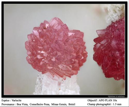 Variscite<br />Mina Boa Vista (Eduardo), Conselheiro Pena, Vale do Rio Doce, Minas Gerais, Brasil<br />fov 1.5 mm<br /> (Author: ploum)