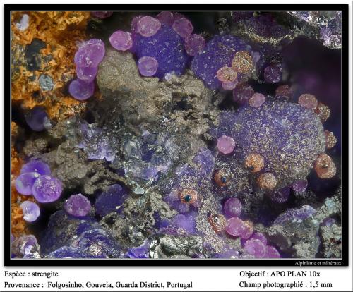 Strengite<br />Folgosinho, Gouveia, Guarda District, Centro Region, Portugal<br />fov 1.5 mm<br /> (Author: ploum)