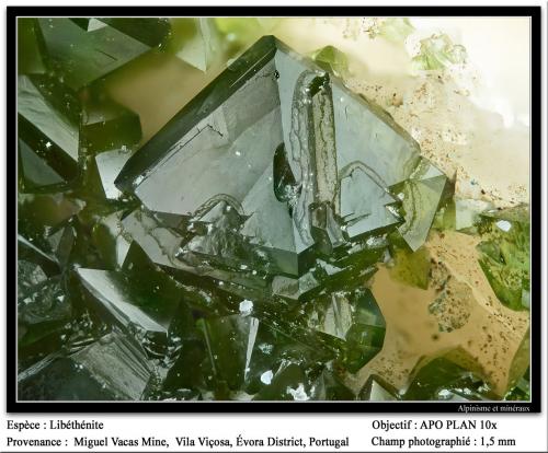 Libethenite<br />Miguel Vacas Mine, Pardais and Conceição Parish, Vila Viçosa, Évora District, Alentejo Central Province, Alentejo Region, Portugal<br />fov 1.5 mm<br /> (Author: ploum)