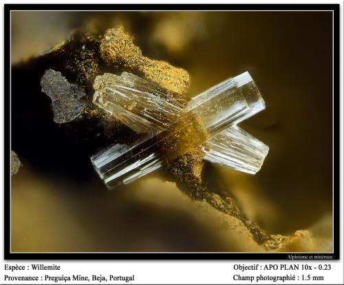 Willemite<br />Preguiça Mine, Sobral da Adiça, Moura, Beja District, Baixo Alentejo, Alentejo, Portugal<br />fov 1.5 mm<br /> (Author: ploum)