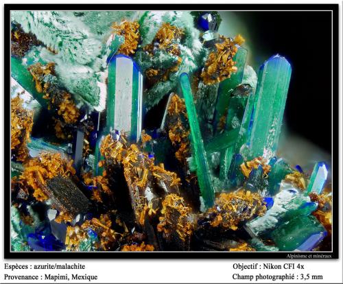 Azurite and malachite<br />Mapimí, Municipio Mapimí, Durango, Mexico<br />fov 3.5 mm<br /> (Author: ploum)