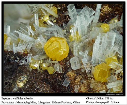 Wulfenite<br />Maoniuping Mine, Mianning, Liangshan Autonomous Prefecture, Sichuan Province, China<br />fov 3.5 mm<br /> (Author: ploum)