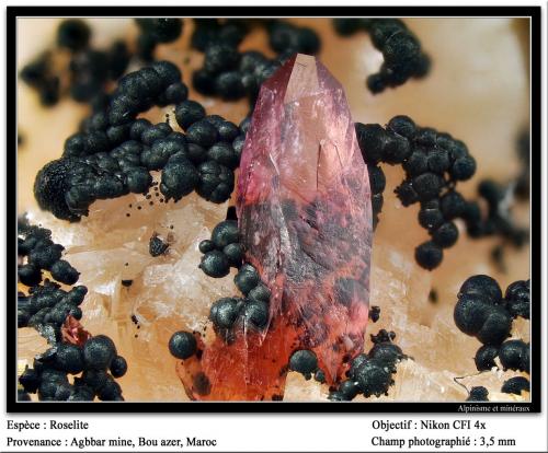 Roselite<br />Aghbar Mine (Arhbar Mine), Bou Azzer mining district, Zagora Province, Drâa-Tafilalet Region, Morocco<br />fov 3.5 mm<br /> (Author: ploum)