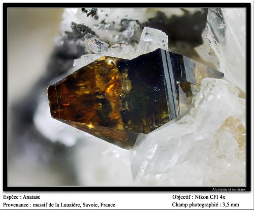 Anatase<br />La Lauzière Massif, Saint-Jean-de-Maurienne, Savoie, Auvergne-Rhône-Alpes, France<br />fov 3.5 mm<br /> (Author: ploum)