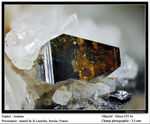 Anatase<br />Macizo La Lauzière, Saint-Jean-de-Maurienne, Saboya, Auvergne-Rhône-Alpes, Francia<br />fov 3.5 mm<br /> (Author: ploum)