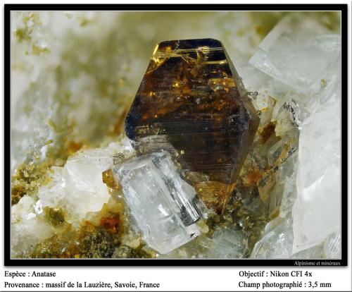 Anatase<br />La Lauzière Massif, Saint-Jean-de-Maurienne, Savoie, Auvergne-Rhône-Alpes, France<br />fov 3.5 mm<br /> (Author: ploum)