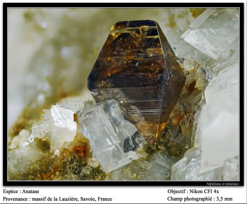 Anatase<br />La Lauzière Massif, Saint-Jean-de-Maurienne, Savoie, Auvergne-Rhône-Alpes, France<br />fov 3.5 mm<br /> (Author: ploum)