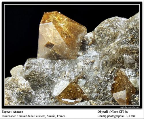 Anatase<br />Macizo La Lauzière, Saint-Jean-de-Maurienne, Saboya, Auvergne-Rhône-Alpes, Francia<br />fov 3.5 mm<br /> (Author: ploum)