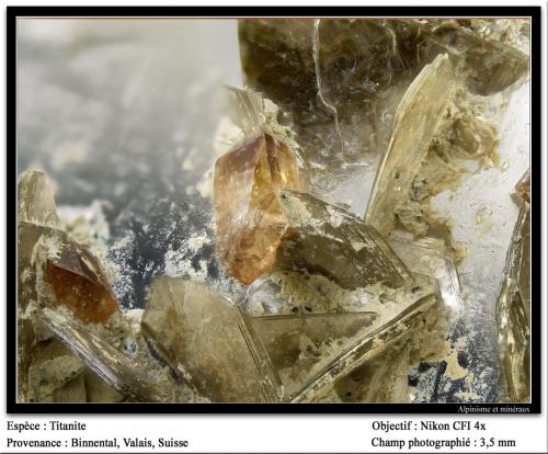 Titanite<br />Valle Binn (Binntal), Wallis (Valais), Suiza<br />fov 3.5 mm<br /> (Author: ploum)