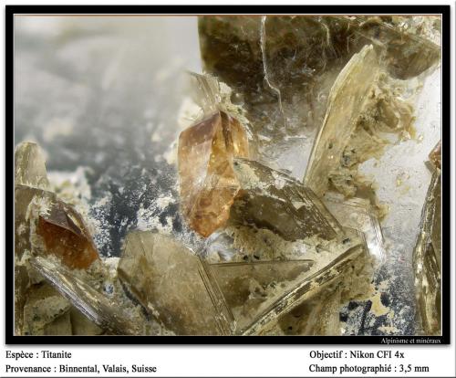 Titanite<br />Binn Valley (Binntal), Wallis (Valais), Switzerland<br />fov 3.5 mm<br /> (Author: ploum)