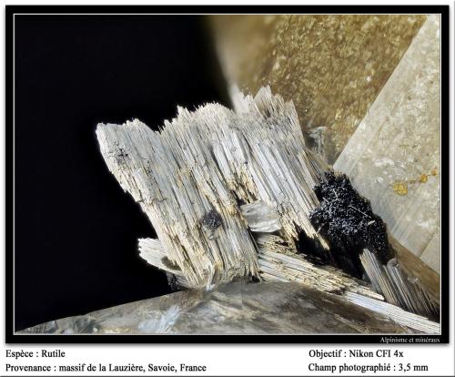 Rutile<br />La Lauzière Massif, Saint-Jean-de-Maurienne, Savoie, Auvergne-Rhône-Alpes, France<br />fov 3.5 mm<br /> (Author: ploum)