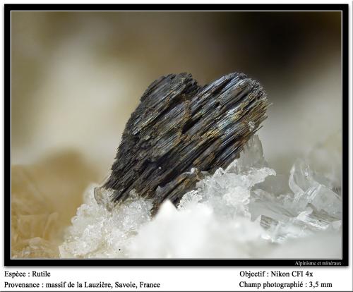 Rutile<br />La Lauzière Massif, Saint-Jean-de-Maurienne, Savoie, Auvergne-Rhône-Alpes, France<br />fov 3.5 mm<br /> (Author: ploum)