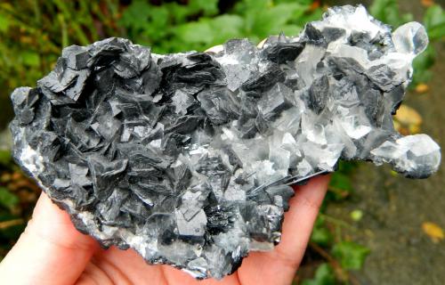 Calcite with Jamesonite inclusions and Stibnite<br />Herja Mine, Chiuzbaia, Baia Sprie, Maramures, Romania<br />~ 11.5 cm L<br /> (Author: Deyu)