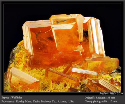 Wulfenite<br />Rowley Mine, Theba, Painted Rock District, Painted Rock Mountains, Maricopa County, Arizona, USA<br />fov 10 mm<br /> (Author: ploum)