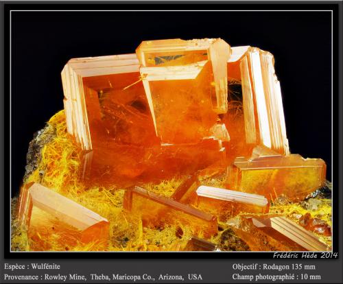 Wulfenite<br />Mina Rowley, Theba, Distrito Painted Rock, Montes Painted Rock, Condado Maricopa, Arizona, USA<br />fov 10 mm<br /> (Author: ploum)